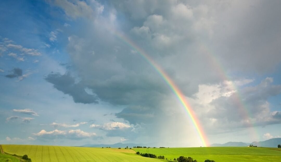 Descubre el significado detrás de las fiestas arco iris