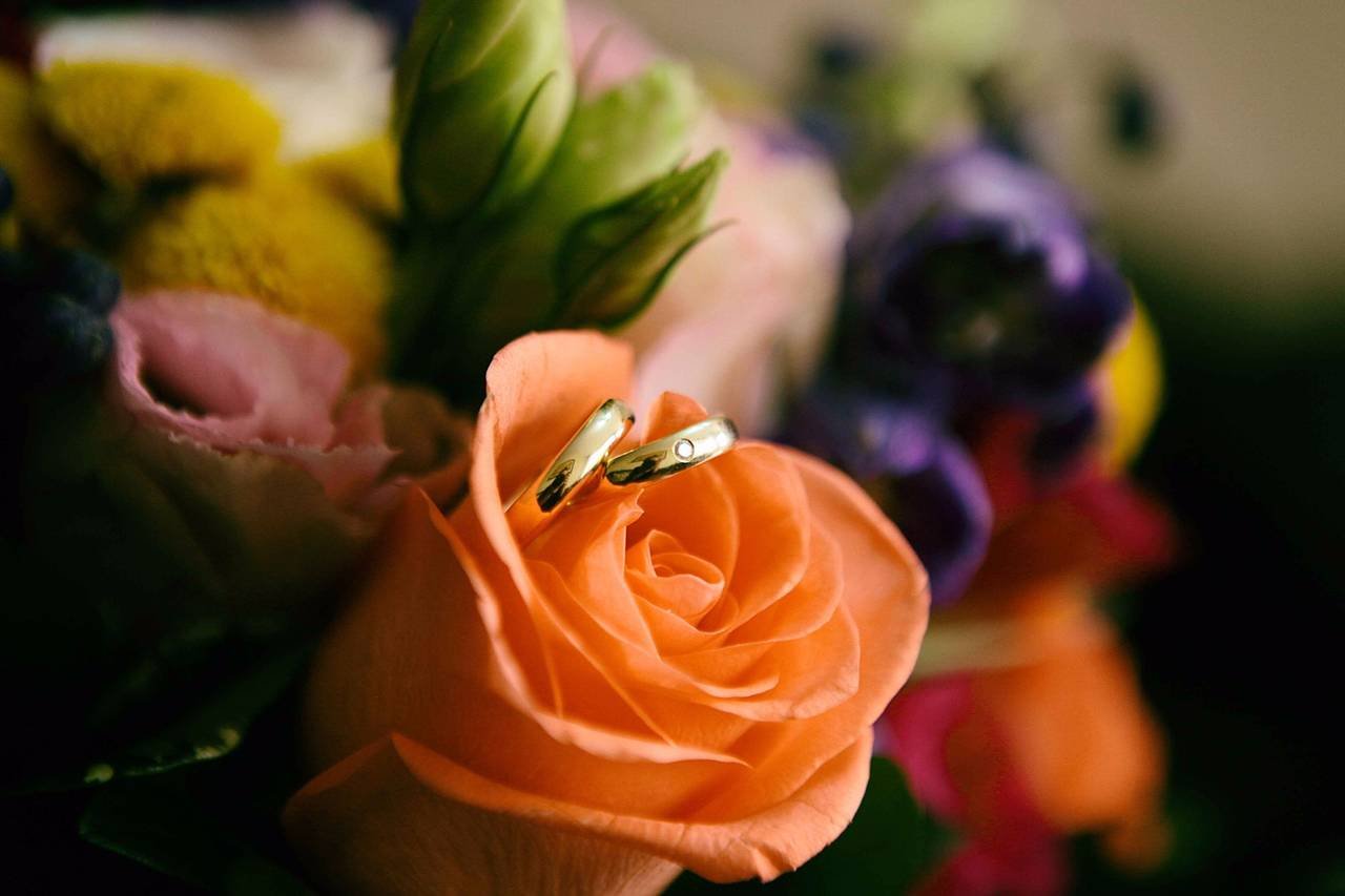 Todo lo que necesitas saber sobre la Fiesta Rosa: Origen, significado y cómo celebrarla